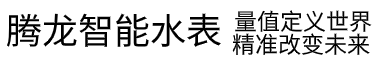 腾龙公司