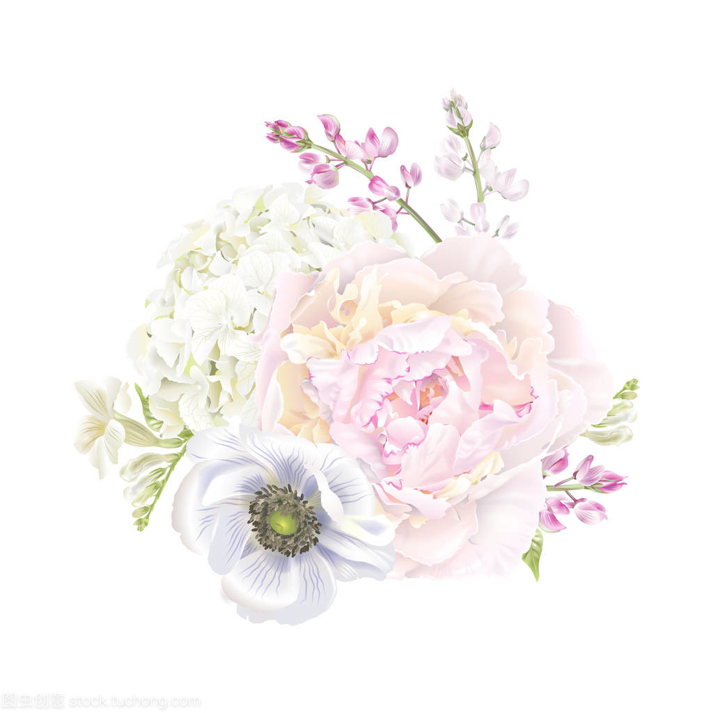 牡丹与莲花 东方花魂的共舞