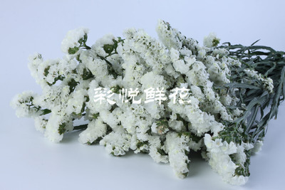 自然风干植物花卉 勿忘我插花，室内多色装饰的永恒之选